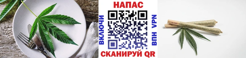 где купить наркоту  Макаров  Cannafood конопля 