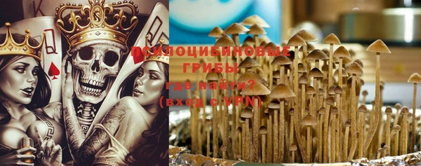 стаф Белокуриха