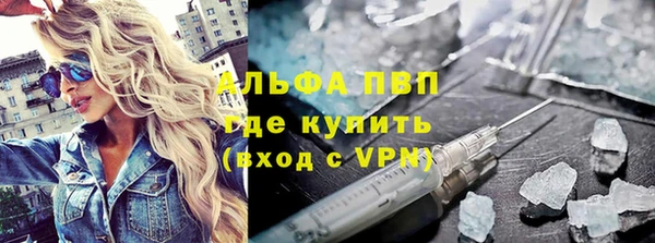 стаф Белокуриха