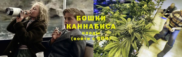 ГАЛЛЮЦИНОГЕННЫЕ ГРИБЫ Балахна