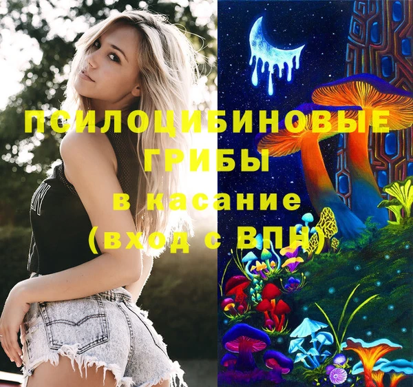 стаф Белокуриха
