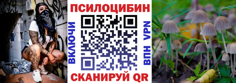 где найти   Макаров  Галлюциногенные грибы прущие грибы 